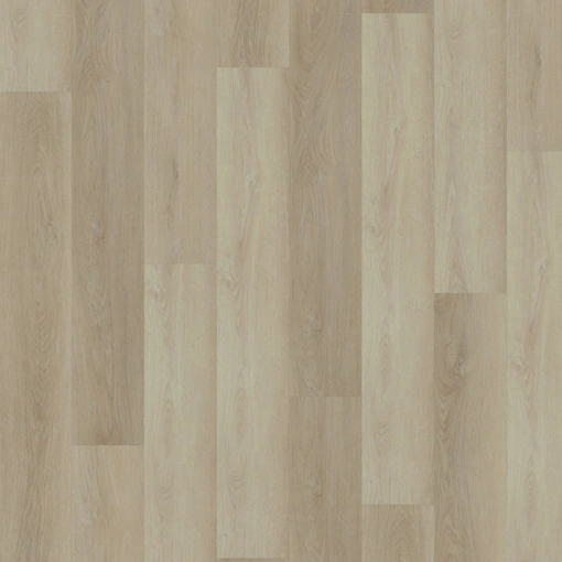 Forzato ALLP3301