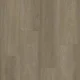 Estrela 123 Ash