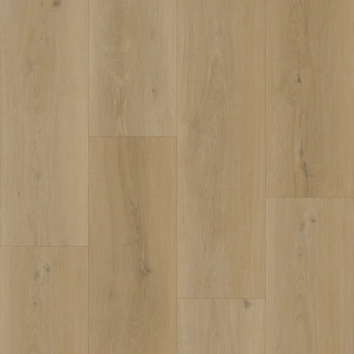 Bodiax Longa 331 Silt