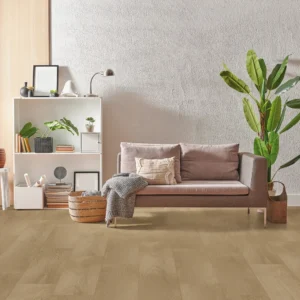 Bodiax Thor 536 Soil